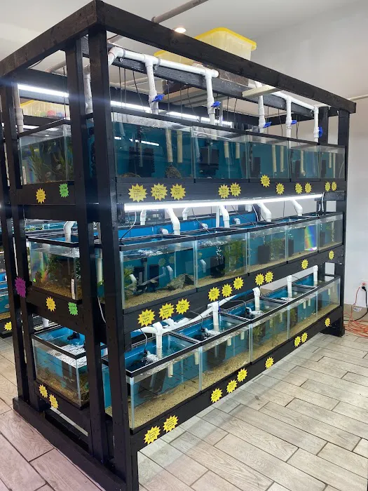 RO Aquatics & Exotics Picture 9