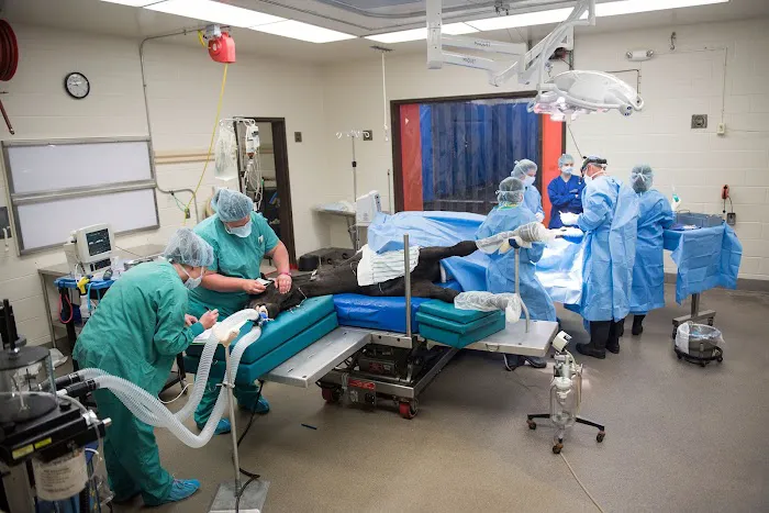 Marion duPont Scott Equine Medical Center Picture 2