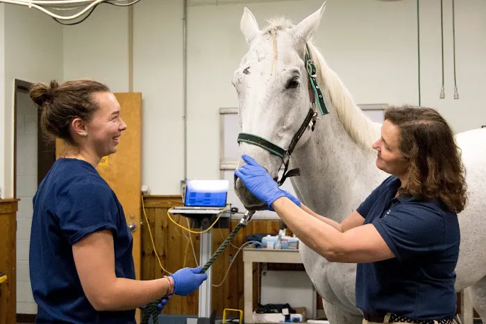 Marion duPont Scott Equine Medical Center Picture 5