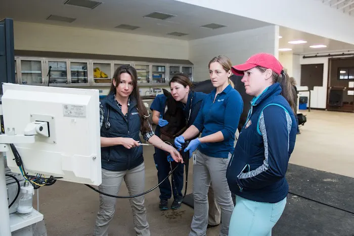 Marion duPont Scott Equine Medical Center Picture 9