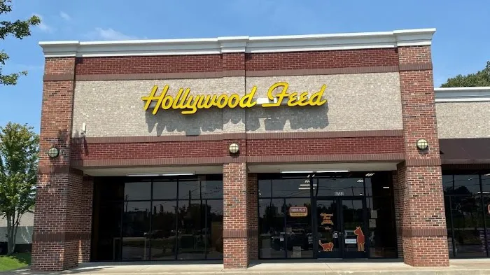 Hollywood Feed Picture 1