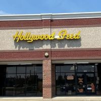 Hollywood Feed ico