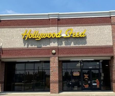 Hollywood Feed