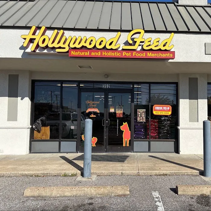 Hollywood Feed Picture 2
