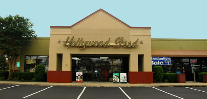 Hollywood Feed Picture 2