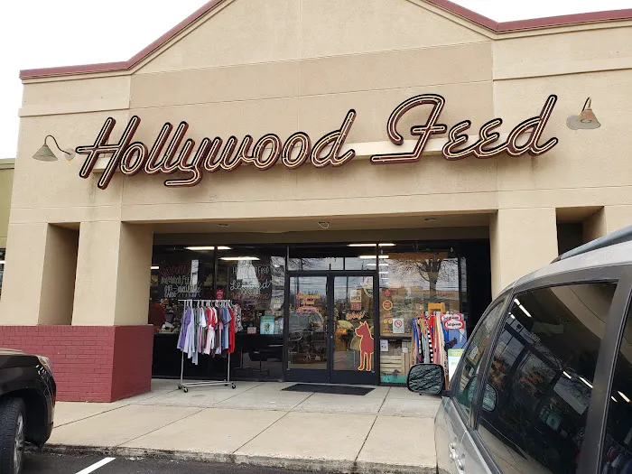Hollywood Feed Picture 4