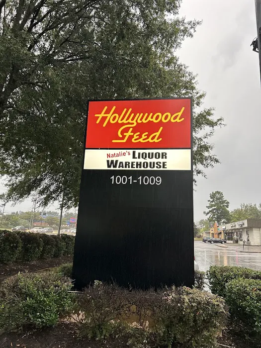 Hollywood Feed Picture 10