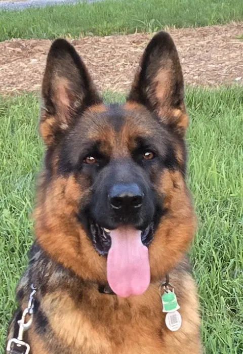 Loudoun Veterinary Service, Inc Picture 1
