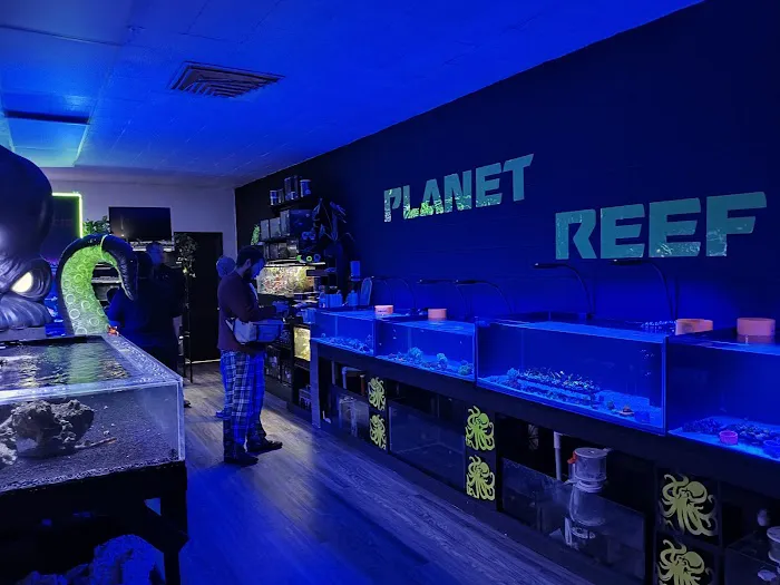 planet reef Picture 5
