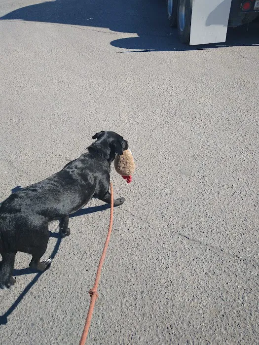 Happy Tails Picture 2