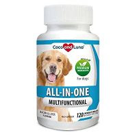 One stop labrador pet shop ico