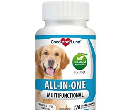 One stop labrador pet shop