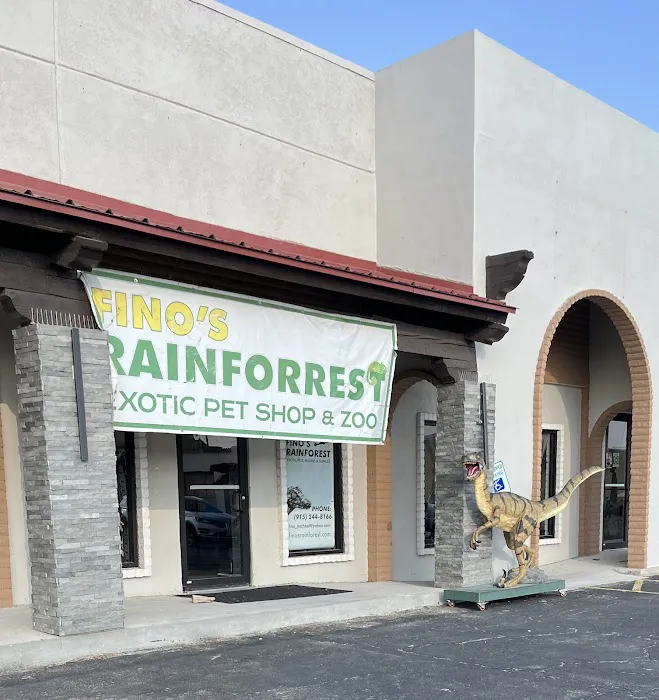 Fino's Rainforest Picture 1