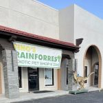 Fino's Rainforest