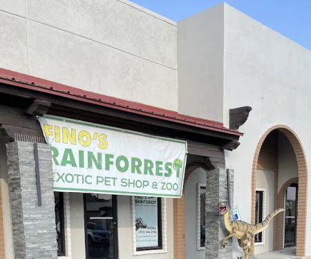 Fino's Rainforest