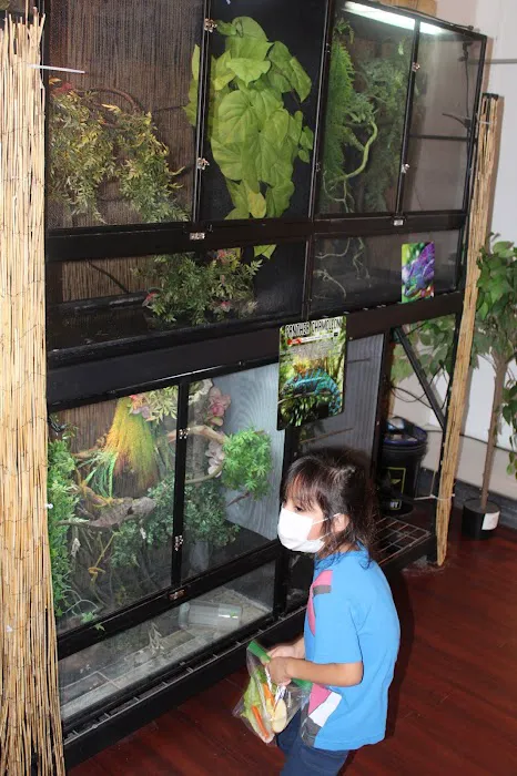 Fino's Rainforest Picture 3