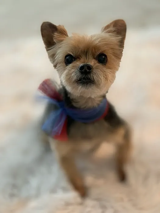 Happy Tails Animal Hospital Picture 2