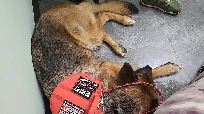 Happy Tails Animal Hospital Picture 7