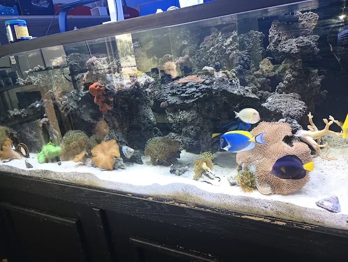AquaLife Picture 4