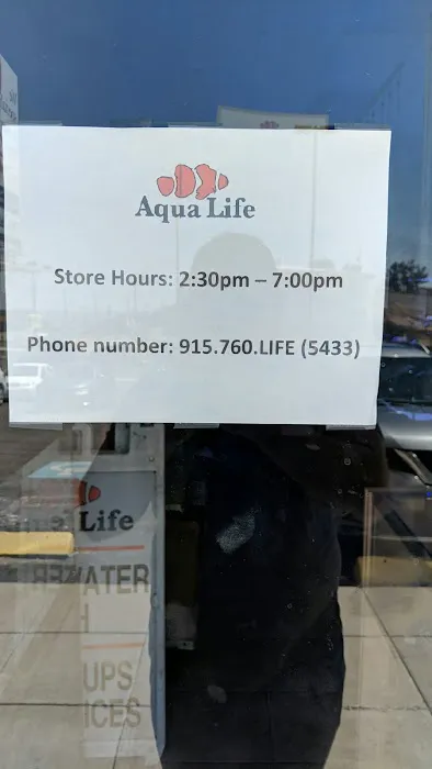 AquaLife Picture 3