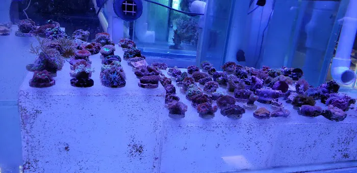 AquaLife Picture 6
