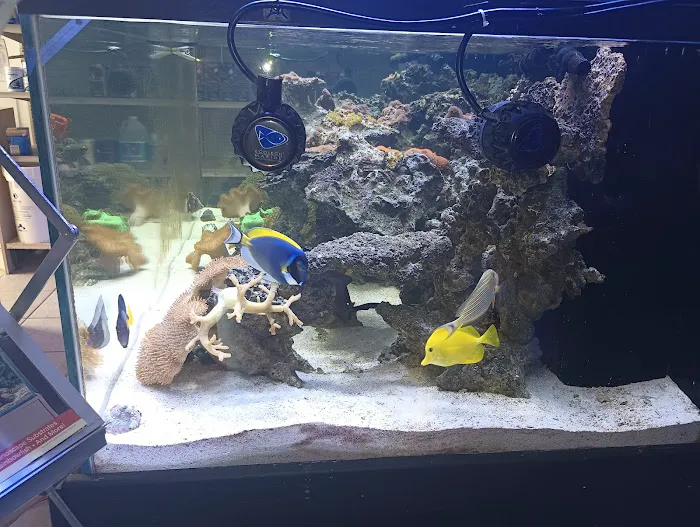 AquaLife Picture 5