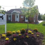 Conway Susan DVM