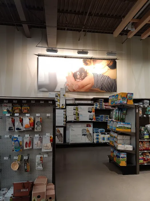 Petco Picture 3