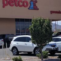 Petco ico