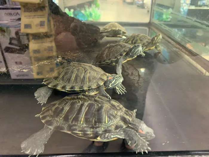 Petco Picture 6