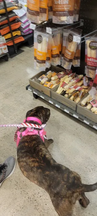 Petco Picture 10