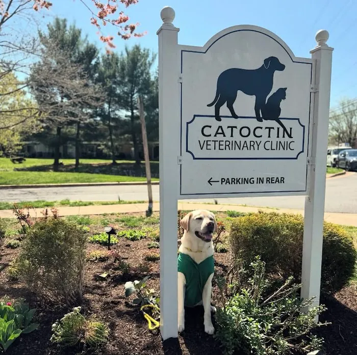 Catoctin Veterinary Clinic Picture 9
