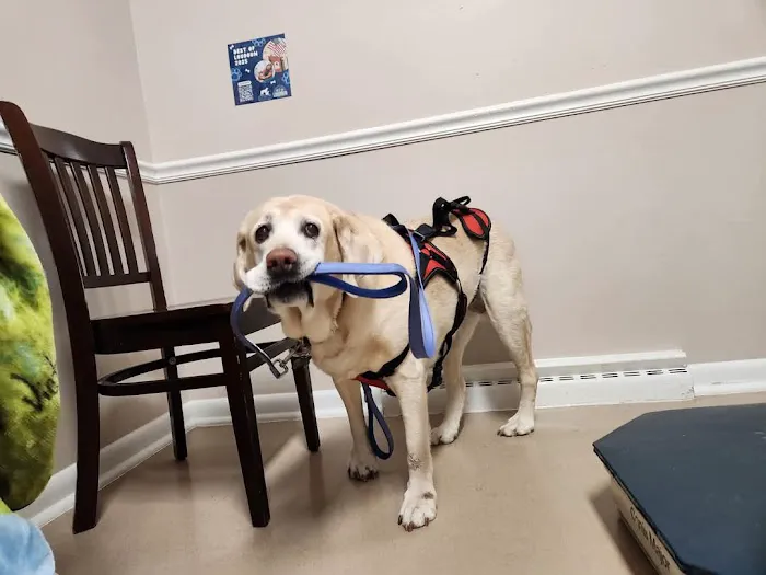 Catoctin Veterinary Clinic Picture 6