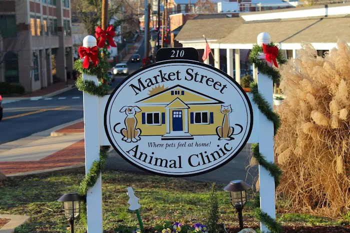 Market Street Animal Clinic Picture 10
