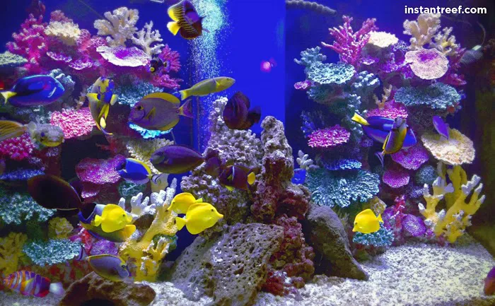 Instant Reef Aquarium Decorations Picture 1