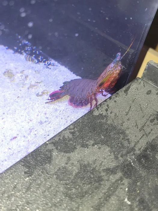 Scenic Cove Aquatics Picture 1