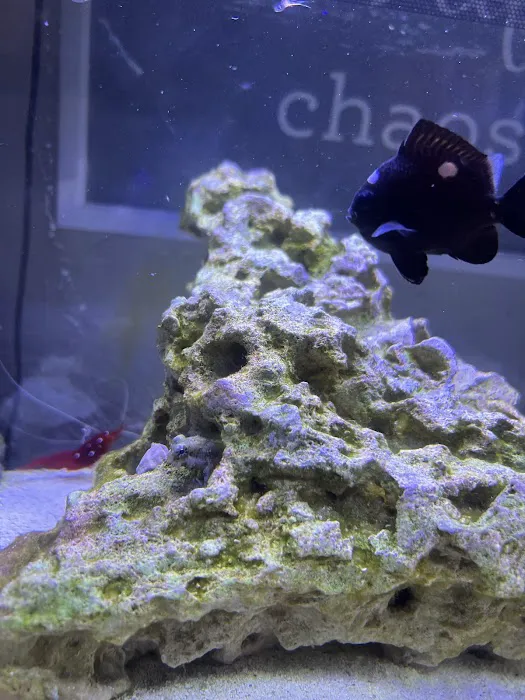 Scenic Cove Aquatics Picture 2