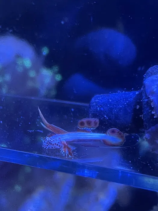 Scenic Cove Aquatics Picture 9