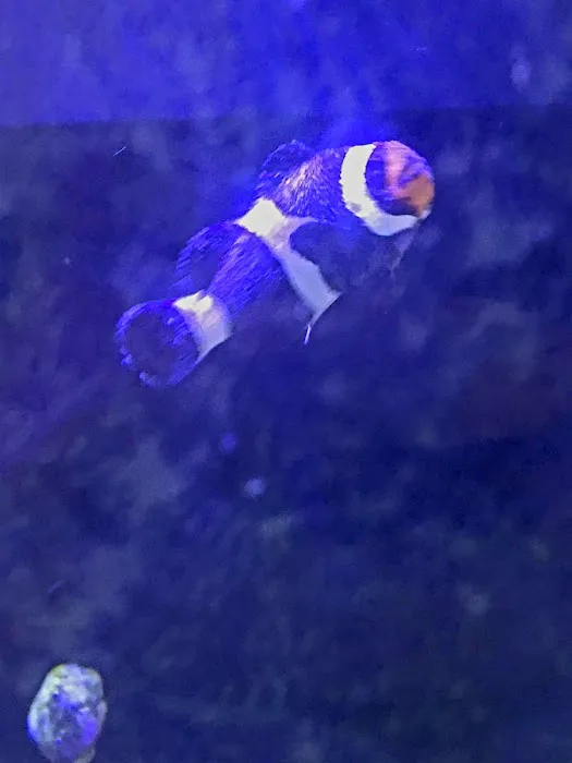 Scenic Cove Aquatics Picture 5