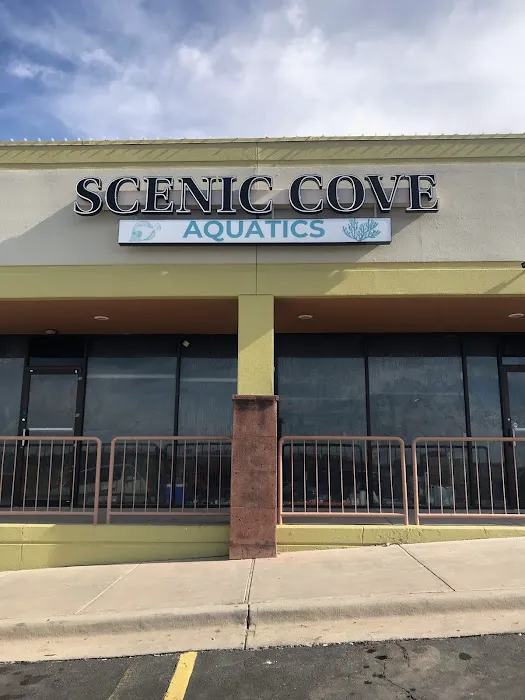 Scenic Cove Aquatics Picture 8