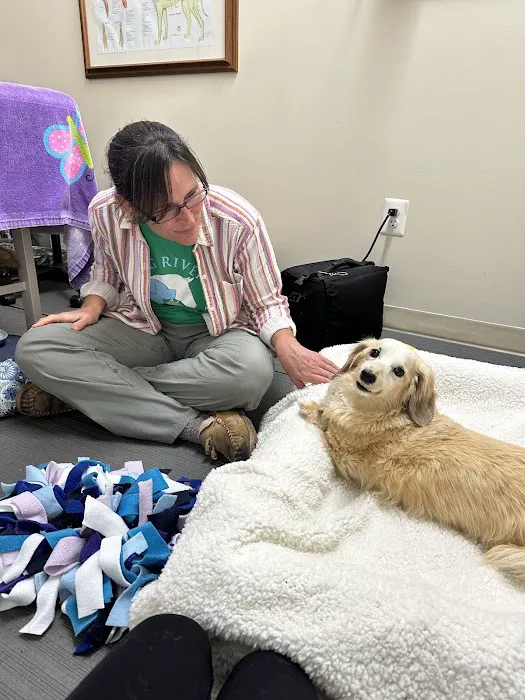 Big River Veterinary Acupuncture Picture 2