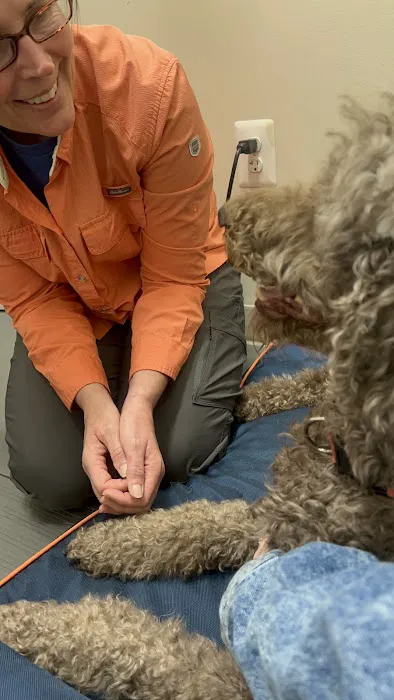 Big River Veterinary Acupuncture Picture 6