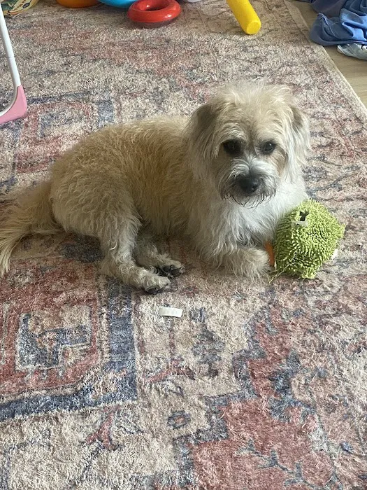 Petco Picture 2
