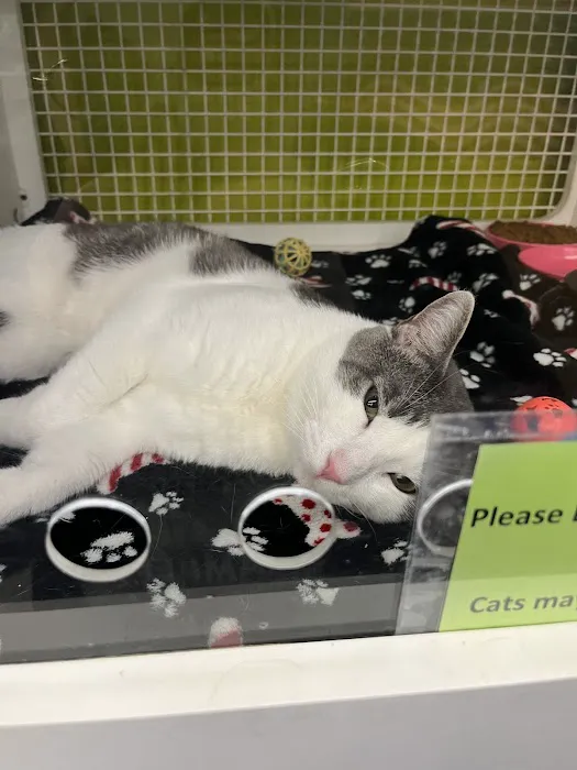 Petco Picture 5