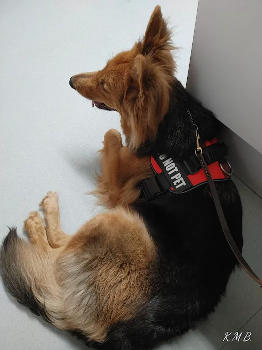 Tidewater Veterinary Hospital Picture 3
