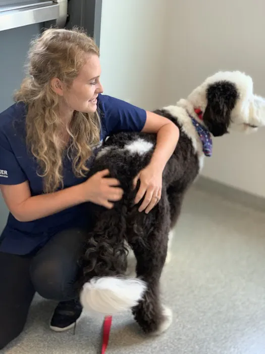 Companion Care Veterinary Hospital Picture 3