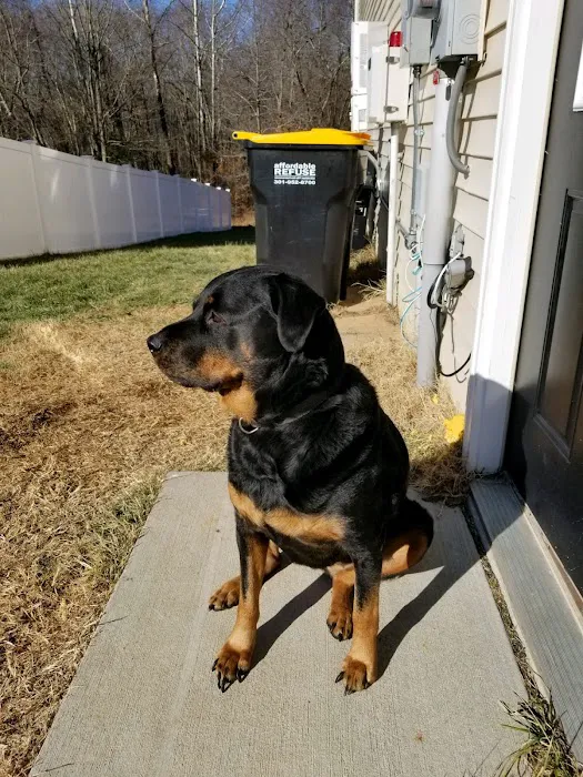 Companion Care Veterinary Hospital Picture 9