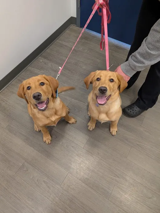 Companion Care Veterinary Hospital Picture 8