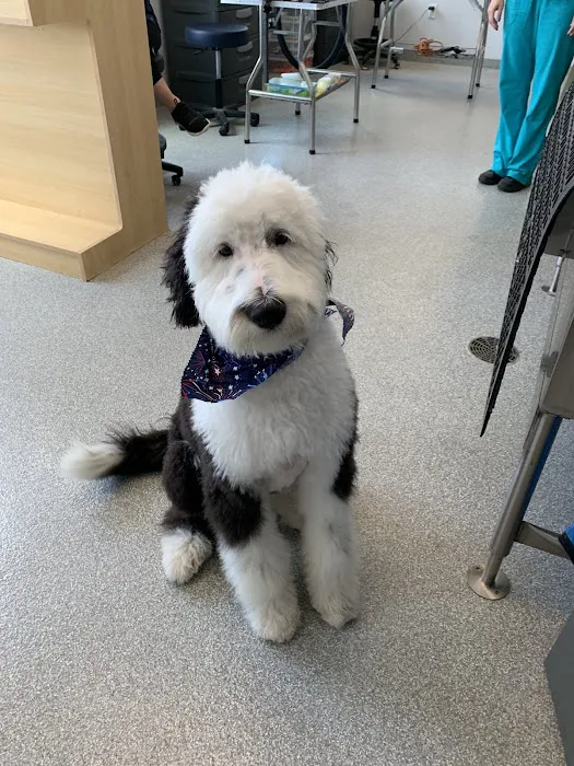 Companion Care Veterinary Hospital Picture 4