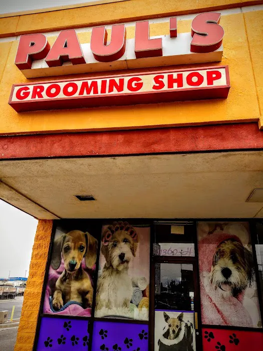 Paul's Pet Grooming Shop Picture 2